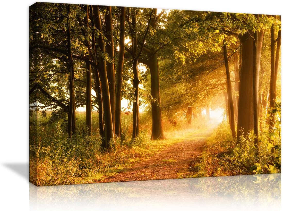Amazon Com Natural Sunshine In Autumn Forest Landscape Canvas Wall Art Tree Forest Landscape Painting Modern Home Decor Posters And Prints Nature Pictures For Living Room Framed Ready To Hang Posters Prints