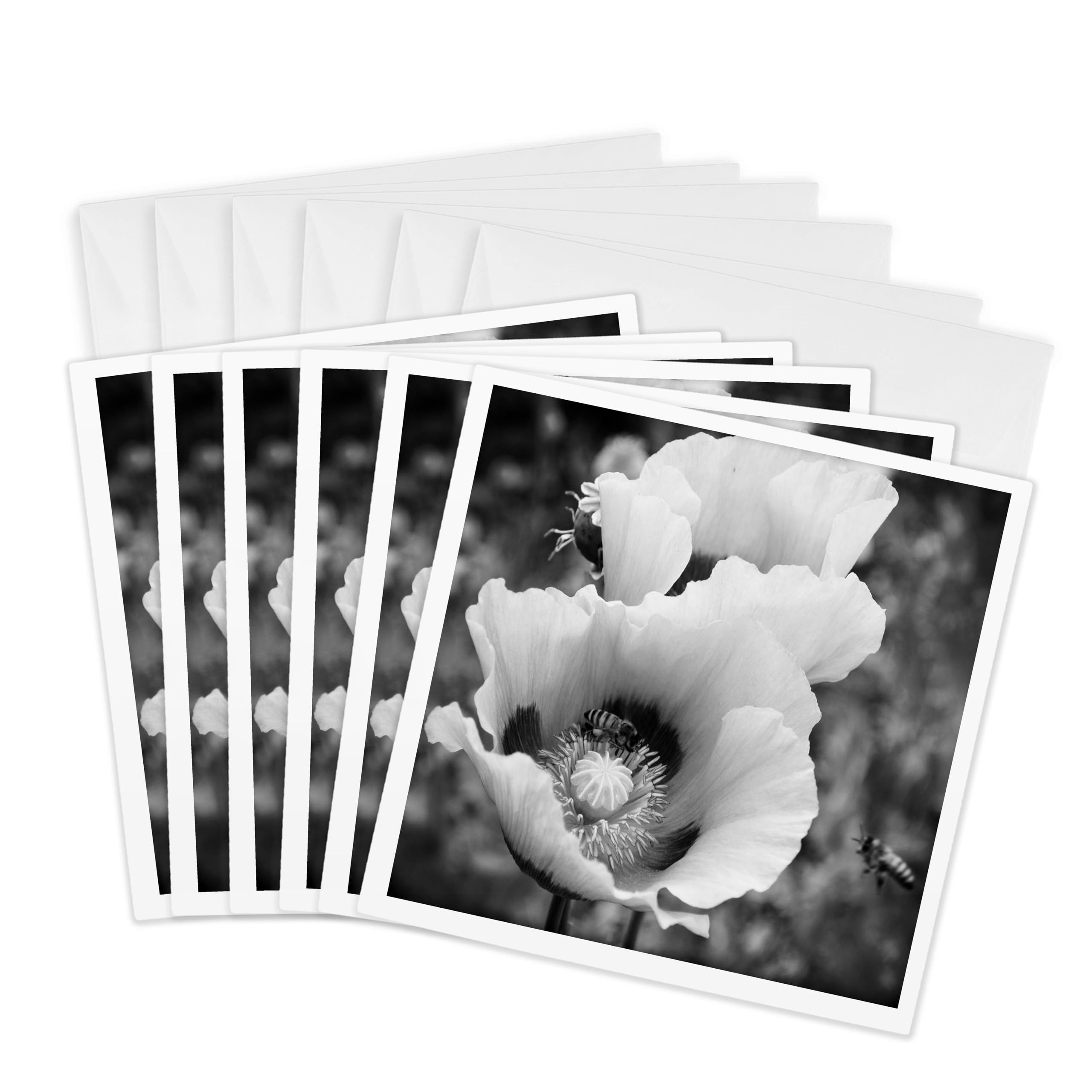 3dRose gc_252495_1 6 x 6-Inch "Late for Meeting is a Black and White Photo of a Bee and Poppy Flower" Greeting Card (Pack of 6)