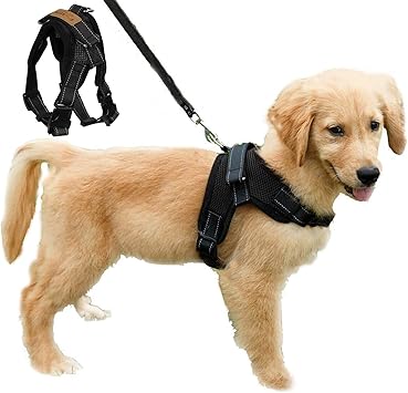 power dog harness