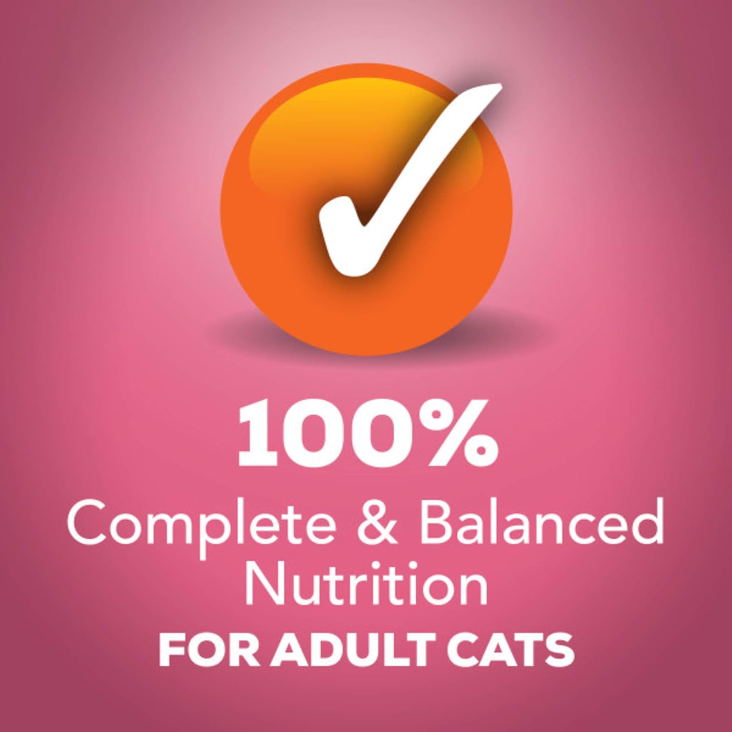 Purina Friskies Gravy Wet Cat Food Variety Pack, Prime Filets Meaty Favorites - (24) 5.5 oz. Cans : Canned Wet Pet Food : Pet Supplies