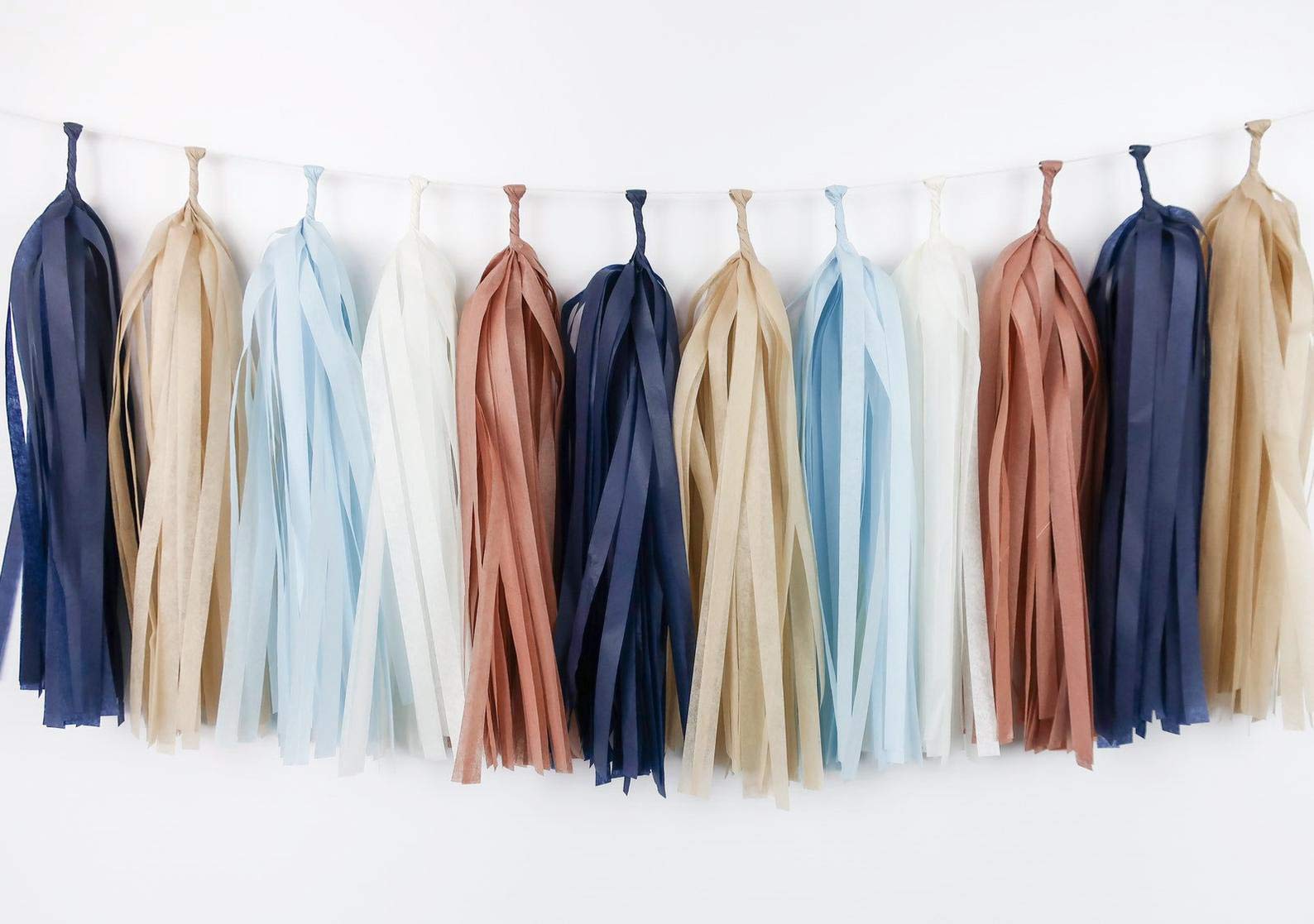 25PCS Teddy Bear Adventure Baby Shower Blue Brown Tan DIY Tassel Garland Banner Woodland Party Streamers Backdrop for Boy First Birthday Cake Smash Highchair Photo Props Balloon Tails Tassel Decor