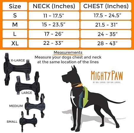 afp pet water fountain