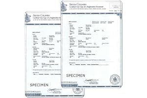 Lot de 2 porte-certificats de naissance Canada – 12,7 x 17,8 cm, robustes en plastique transparent – Housses de protection po