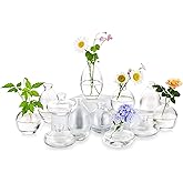 Glass Bud Vases Set of 12, Hewory Cute Clear Small Vases Handmade, Mini Glass Flower Vase for Floral Arrangement, Tiny Centerpiece for Wedding Party Events Home Office Table Decor (Not Include Flower)