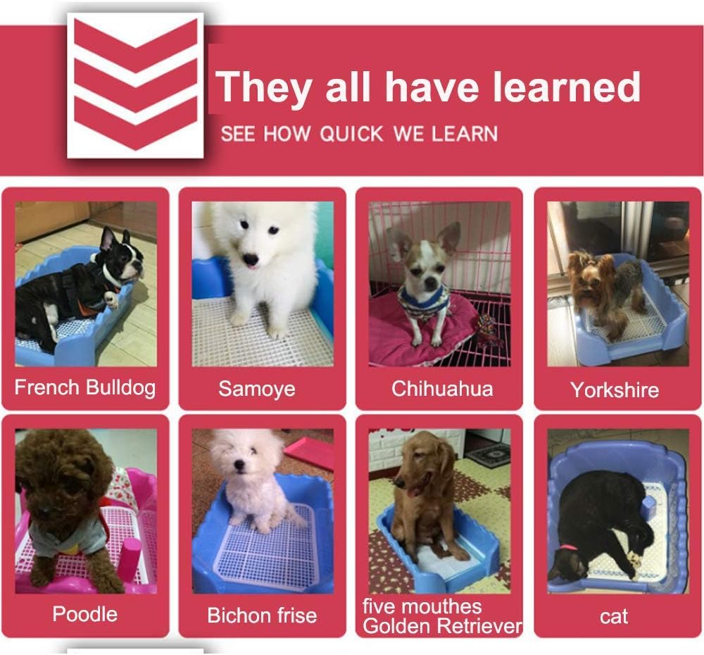 anti poop spray for dogs