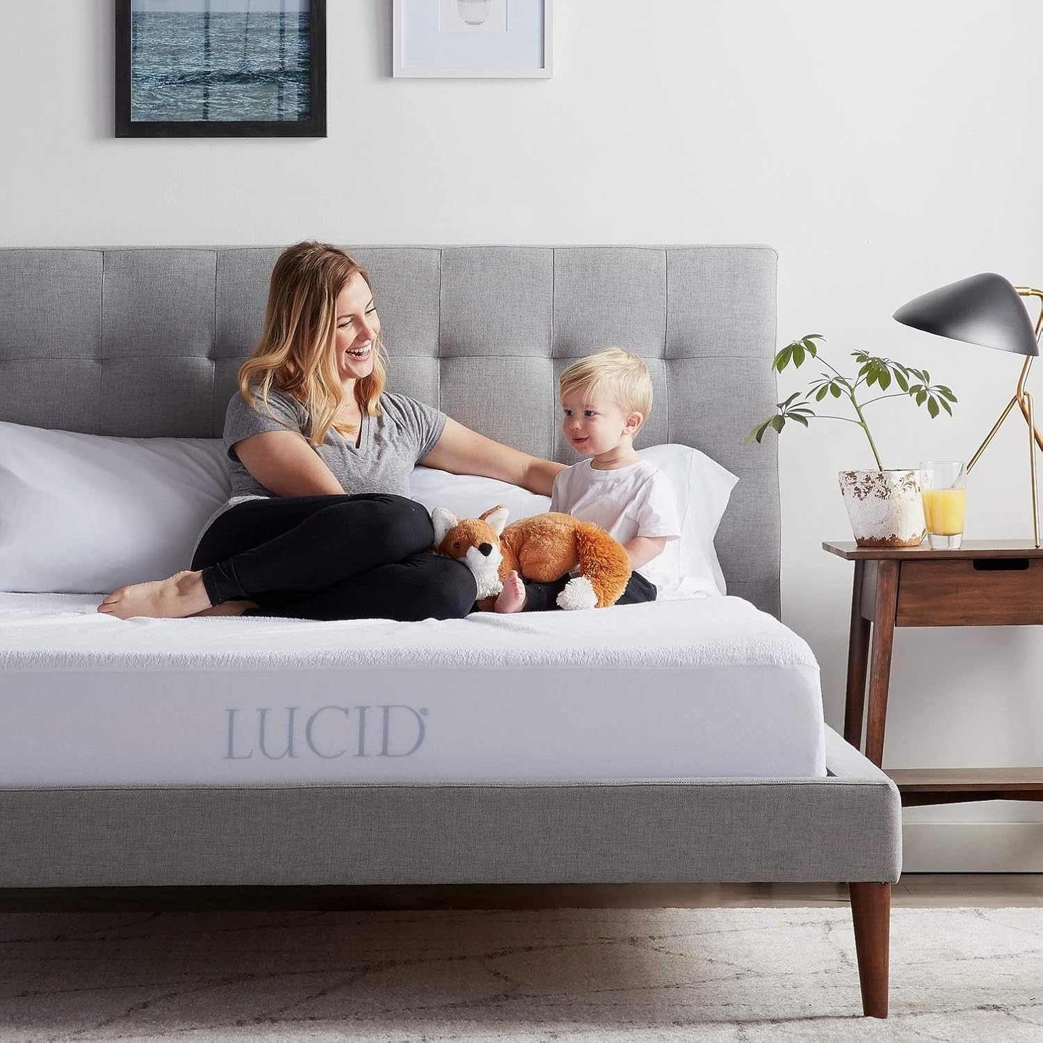 LUCID Premium Hypoallergenic 100% Waterproof Mattress Protector - Universal Fit, Cotton Terry Top, Queen: Home & Kitchen