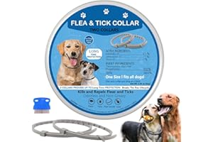 DAVAON Flea Collar for Dogs, Dog Flea Collars Kill Flea and Ticks, Flea and Tick Collar for Dogs, Flea Collar, Tick Collar for Dogs, Flea and Tick Prevention for Dogs, Puppy Flea and Tick Collar