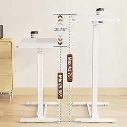 FLEXISPOT Mobile Standing Desk with Wheels