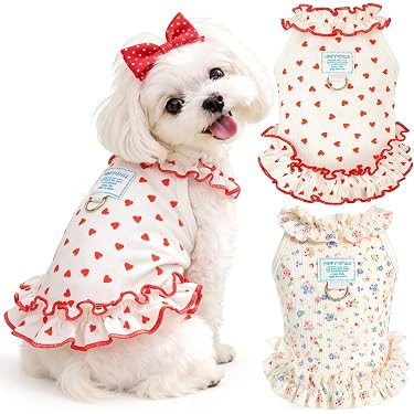 Amazon.com New Releases: The best-selling new & future releases in Dog  Dresses