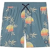 Billabong Boys Layback 4-Way Stretch Swim Trunks with UPF 50+ Sun Protection, Quick Dry Bathing Suit