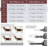 HEELE Reflective Dog Harness with Padded Handle, 2 D-Rings, Size S view 2