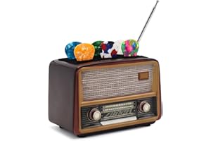 rain bunny Guitar Picks Holder Box, Guitar Pick Display Holder, Amp Speaker Styled Pick Holder, Pick Stand for Picks Storage and Display, Stylish Organizer for Music Enthusiasts and Musicians (Brown)