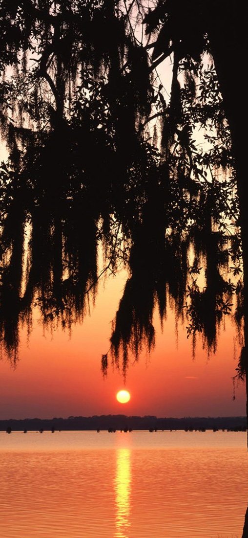 PeelitStickit, Beautiful Nature Wall Murals, ID-3286, vinyl