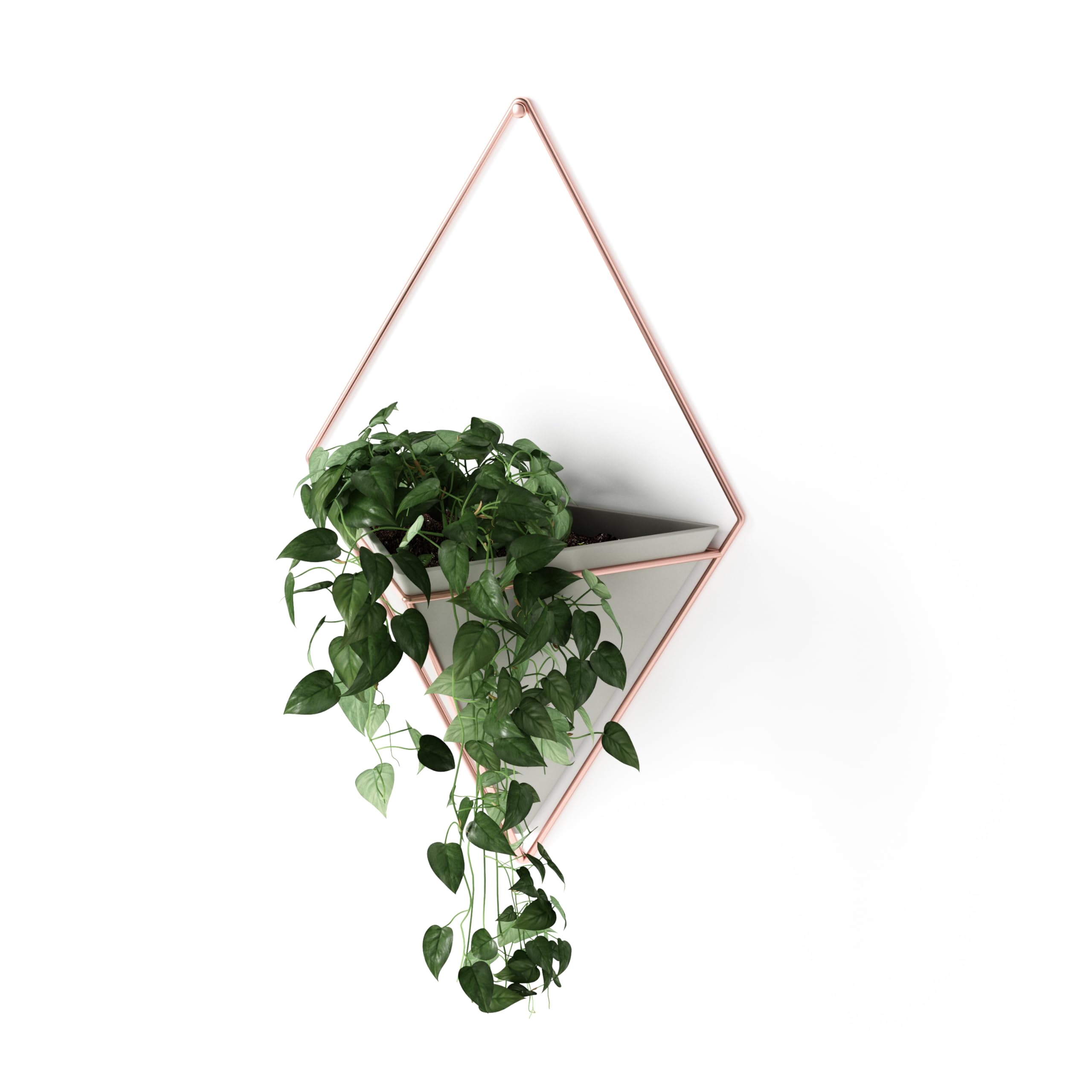 Umbra Trigg wall vase & geometric decoration - planter for indoor plants, succulents, air plants, cacti, artificial plants and more, concrete/copper, large, 1 piece