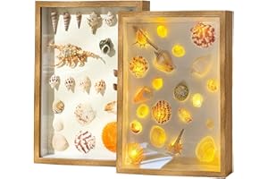 WECKLOM Shadow Box Frame Seashell Display Box 12x9 with Fairy Light and Pearl Shadow Box Display Case Box 1 Pack (Burlywood), BKP09