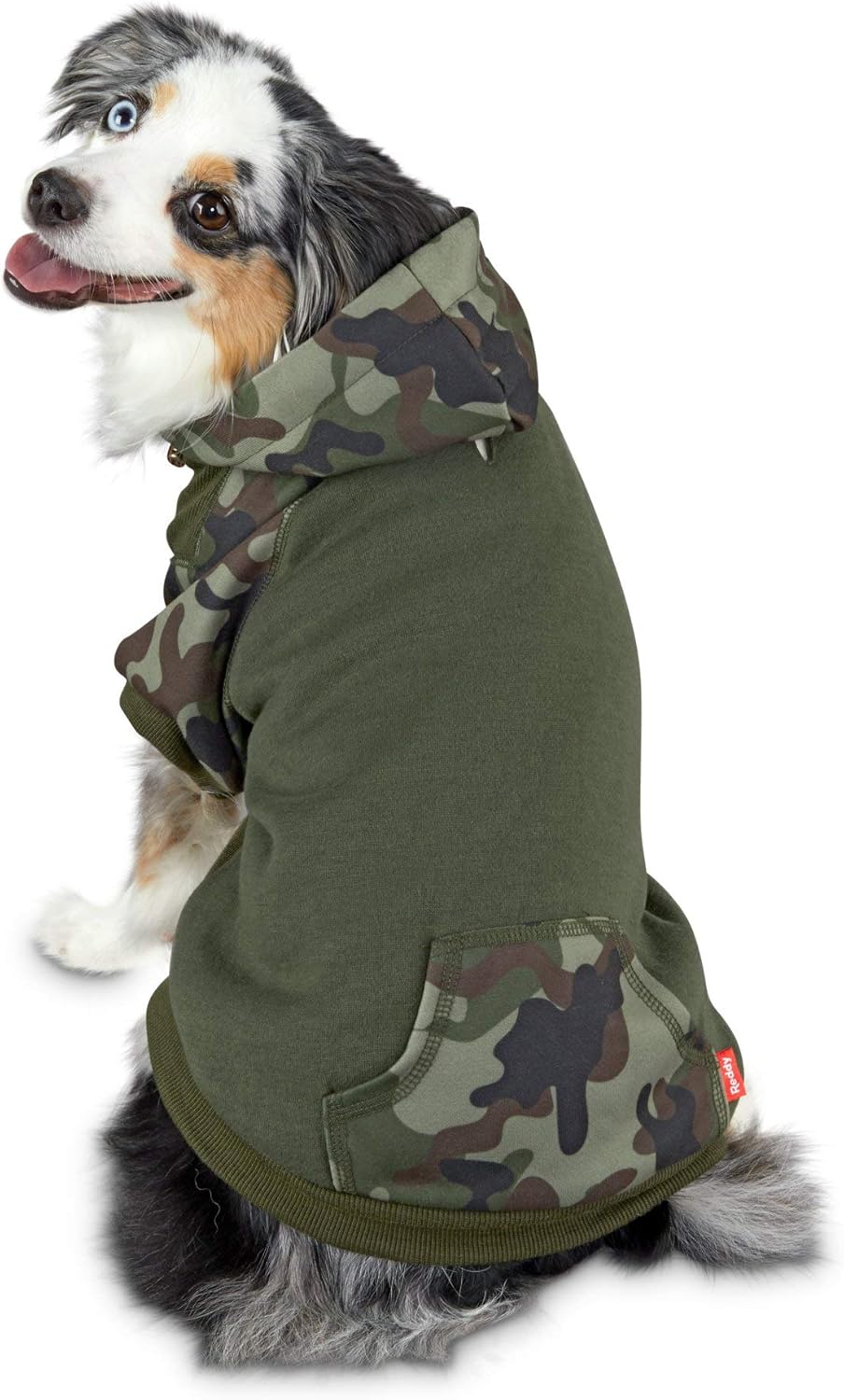 color block dog hoodie