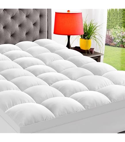 Amazon.com: Lofty Sheets, Cubrecolchón para sofá cama (60 x 74 x 6  pulgadas) en algodón egipcio de 800 hilos (tamaño Queen), color blanco  sólido : Hogar y Cocina