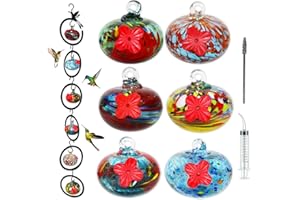 ruiyi tim Glass Hummingbird Feeder for Outdoors 6 PCS Small Hand Blown Glass Bird Feeding Balls Hanging Wild Bird Feeders 5OZ x 6PCS Backyard Garden Decorations with Brush Injector