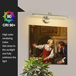 Tassuowell Hardwired Picture Light,24 Inch Dimmable