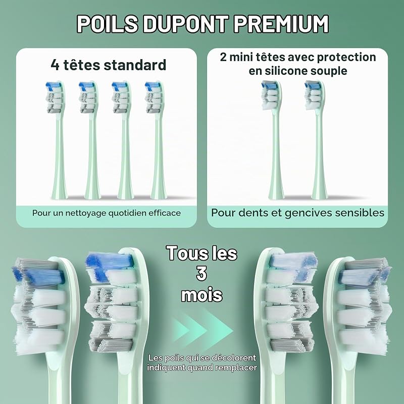 Brosse à dents sonique pour adultes, brosse à dents électrique rechargeable avec 5 modes de nettoyage, 3 niveaux d'intensité, capteur de pression intelligent (Vert)