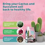 Grow Buddha Cactus Succulent Soil Mix 2L Indoor Potting Compost view 5