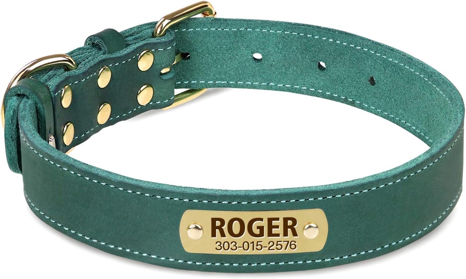 dog hunting collars with nameplates
