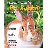 Training Your Pet Rabbit (Training Your Pet Series)