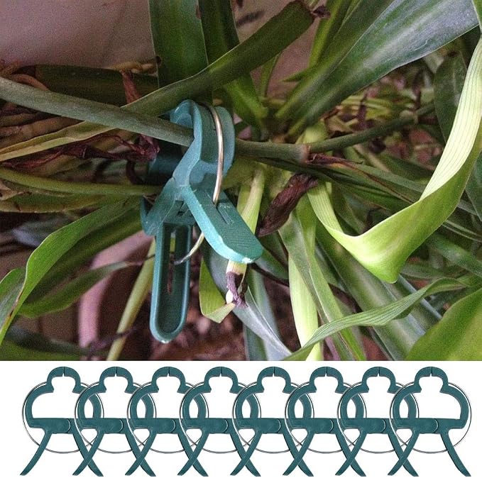 TIMESETL 100PCS Clips para Plantas de jardín (tamaño 2), Clips ...