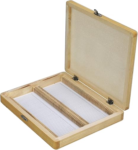 Un microscopio Slide caja de madera 100 piezas Diapositivas: Amazon.es: Electrónica