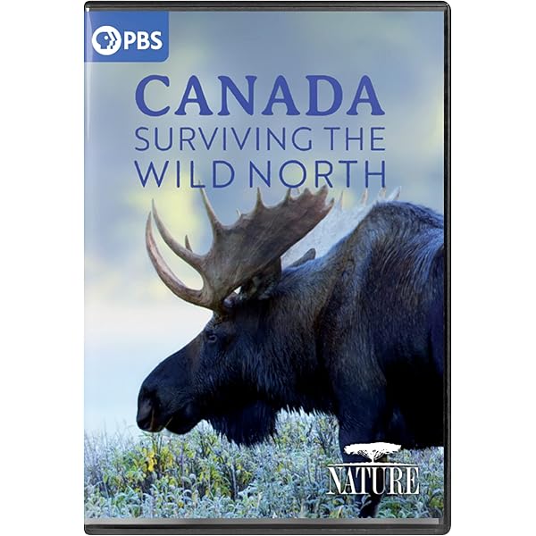 Amazon.com: Nature: Wild Florida : n/a, Rowan Crawford: Movies & TV