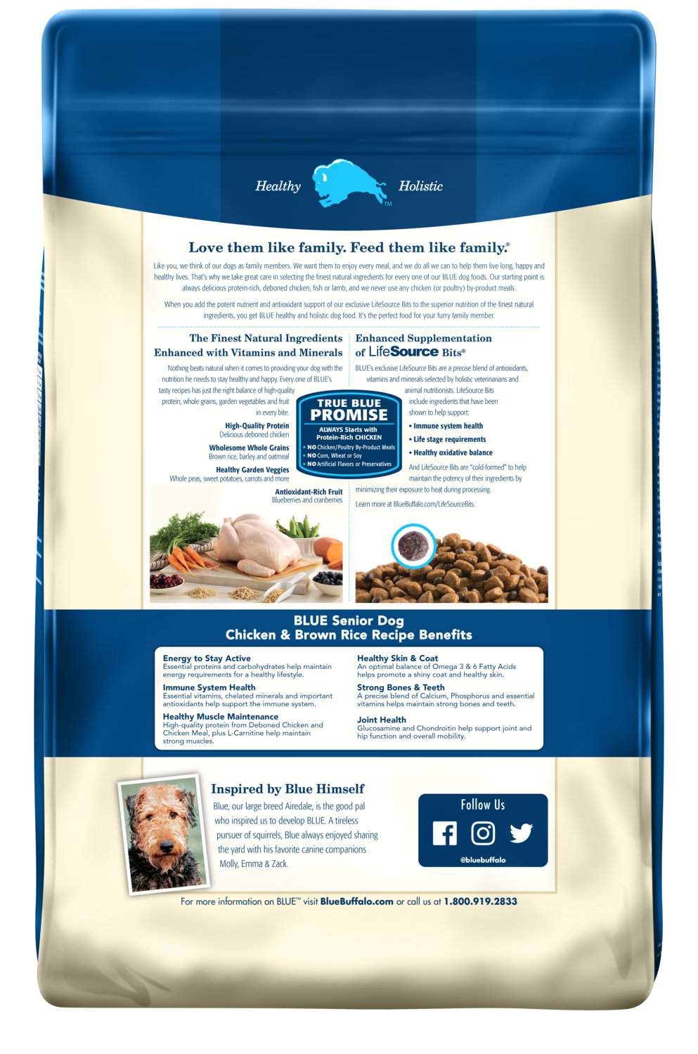 Blue Buffalo Life Protection Formula Natural Senior Dry Dog Food