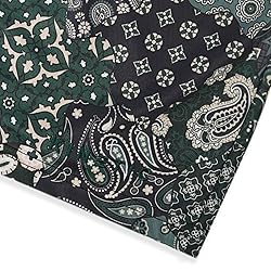 DIOTSR Mens Mesh Paisley Shorts, Casual Retro