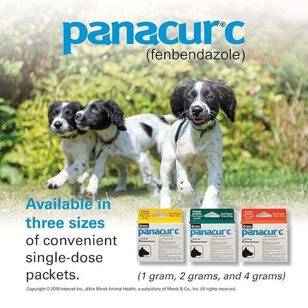 PANACUR C CANINE DEWORMER (FENBENDAZOLE), 1 GRAM, YELLOW, 3 COUNT (PACK OF 1)