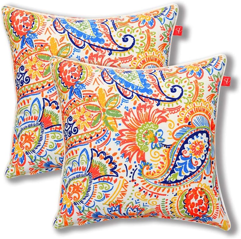 Pcinfuns Set of 2 Patio Indoor/Outdoor All Weather Decorative Throw Pillow Cover Cushion Case for Replacement 18" x 18" (New Phoenix)
