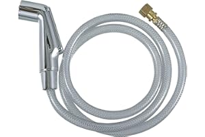 Danco Chrome Plastic Kitchen Faucet Side Spray and Hose Assembly All Brands