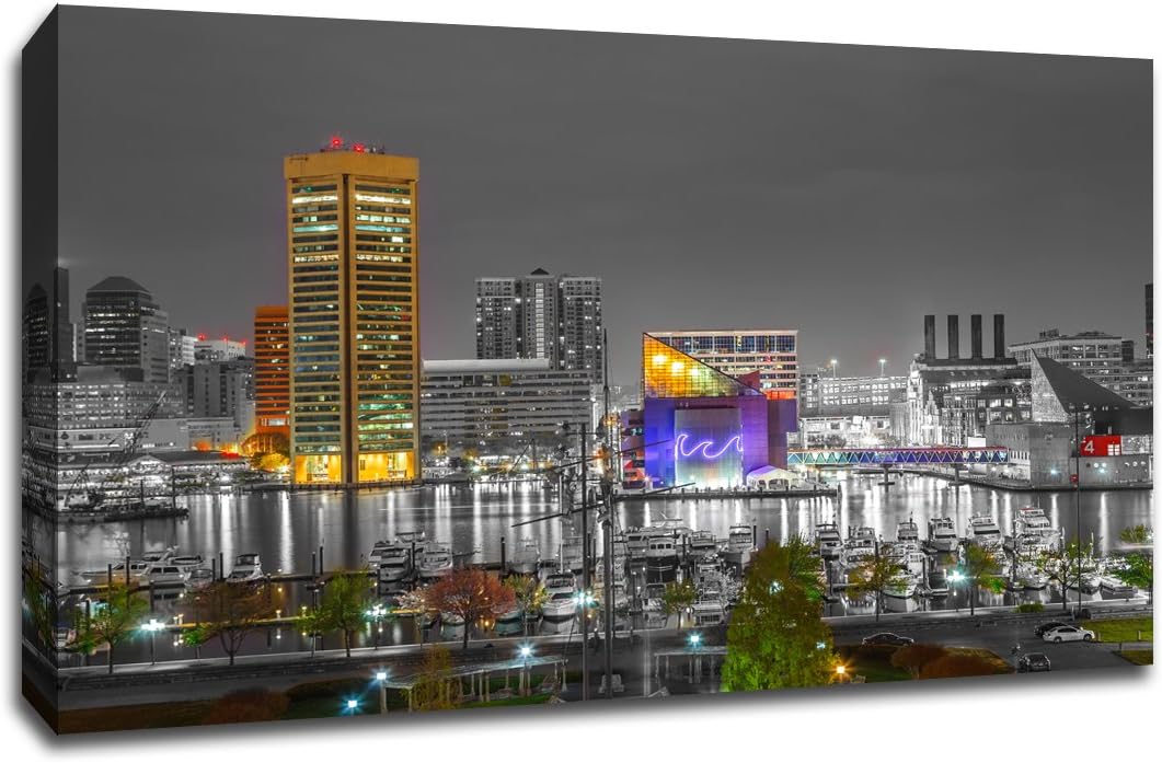 Baltimore Touch of Color Skyline 20x13 Gallery Wrapped Canvas Wall Art