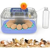 Incubators for Hatching Eggs, 12-24 Egg Digital Incubator with Smart Temperature &amp; Humidity Control, Auto Egg Turner, Egg Candler, Poultry Hatcher for Chicken Eggs, Ducks, Goose, Quail Eggs