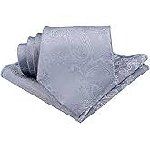 Entwineno Mens Satin Paisley Tie Set : Necktie and Pocket Square - Wedding Groomsmen Groom