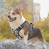 HEELE No-Pull Dog Harness Floral Black XS Release Neck Front Back Clips view 6