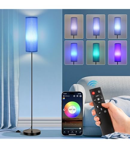 FRIDEKO HOME Floor Lamp, Color Changing Ambient Lighting for