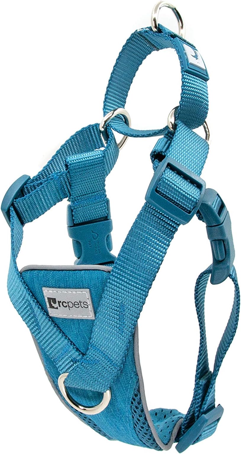 RC Pets Tempo No Pull Dog Harness, Small, Heather Teal