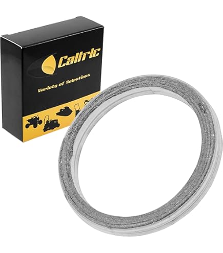 Amazon.com: Caltric Muffler Pipe Gasket Compatible with