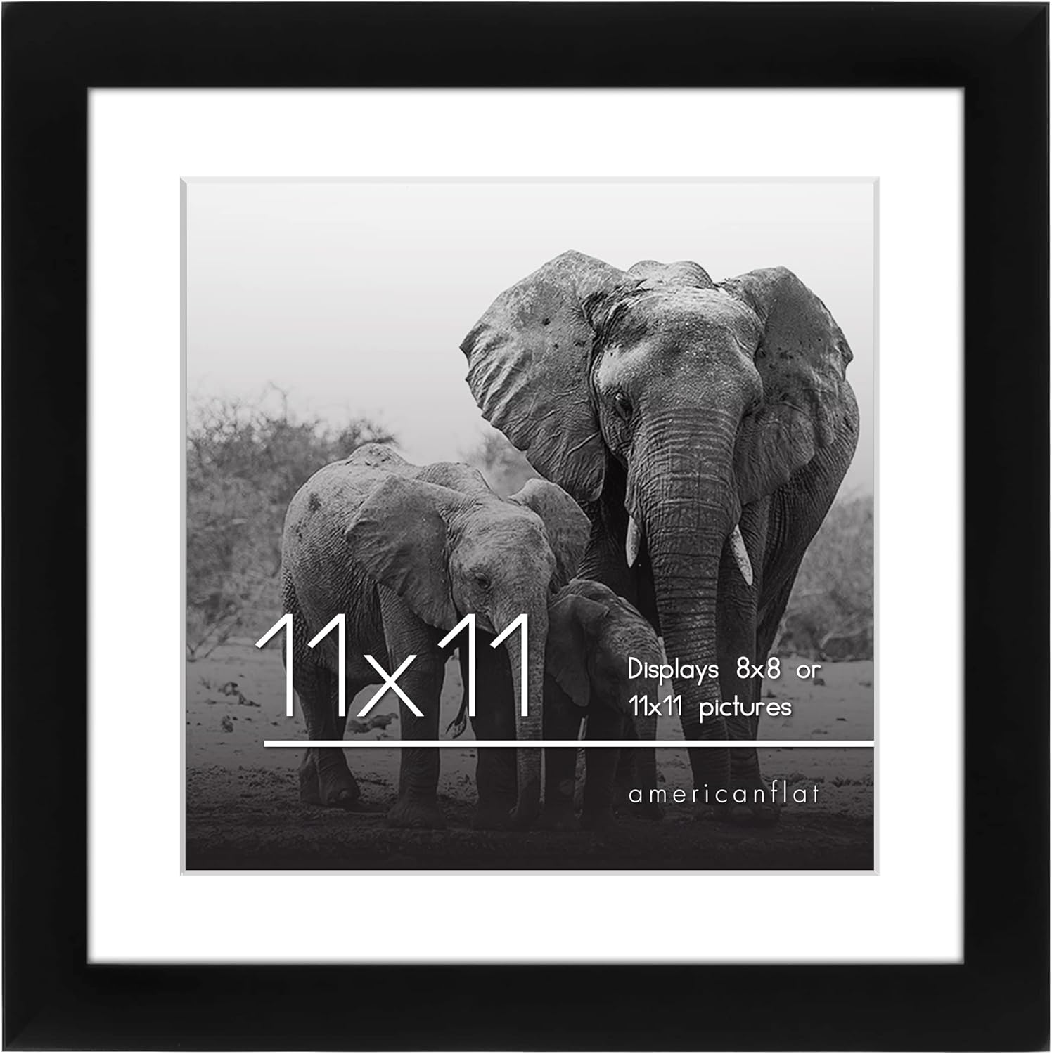Photo Albums, Frames & Accessories - Americanflat 11x11 Picture Frame in Black - Displays 8x8 With Mat and 11x11 Without Mat - Composite Wood with Shatter Resistant Glass - Horizontal and Vertical Formats for Wall