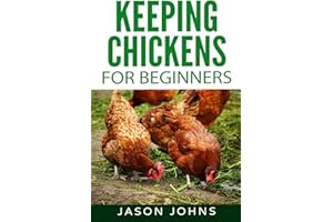 Keeping Chickens For Beginners: Keeping Backyard Chickens From Coops To Feeding To Care And More (Inspiring Gardening Ideas)