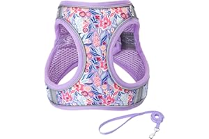 JUFOO Light Purple Flower Pattern Dog Harness and Leash Set,No Escape Easy Walk Puppy Harnesses for Training Walking，Breathable Adjustable Puppy Vest for Small Medium Dogs, Cats (Light Purple, XXS)