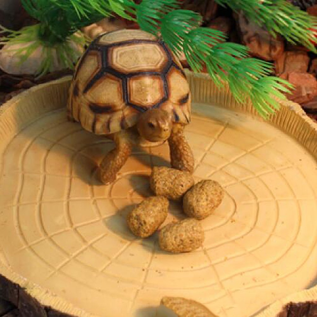 Flameer Futternapf Wasserschale Fur Reptilien