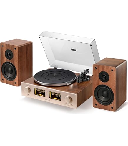 Amazon.com: QLEARSOUL SoulBox S1 Vinyl Record Player with Stereo