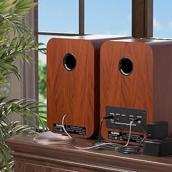 Saiyin Bluetooth Bookshelf Speakers, Record Player