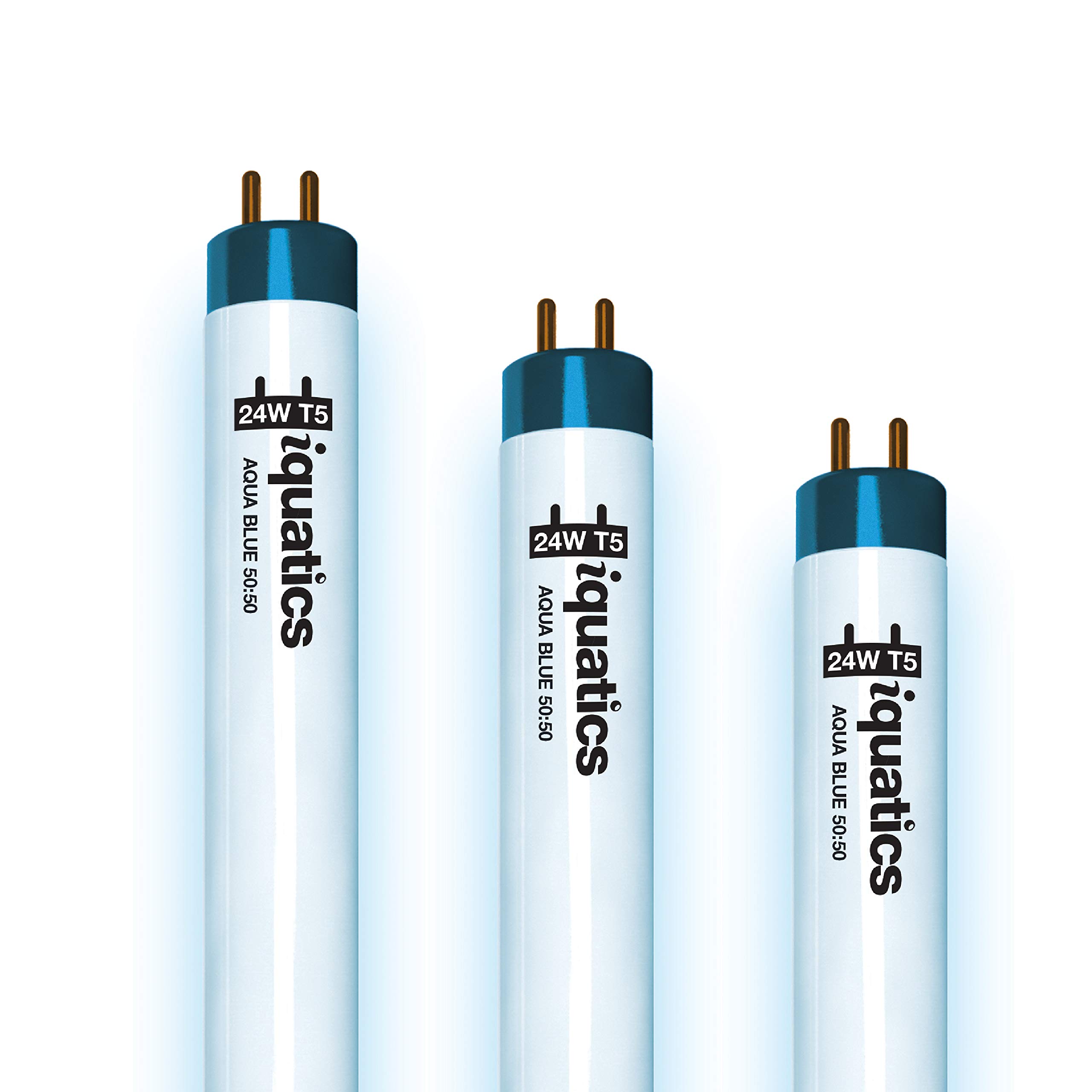 iQuatics Aquarium Tropical Fish Tank Fluorescent Light Bulb T5 (3 Pack), Aqua Blue 50:50, 24w 550mm 22"