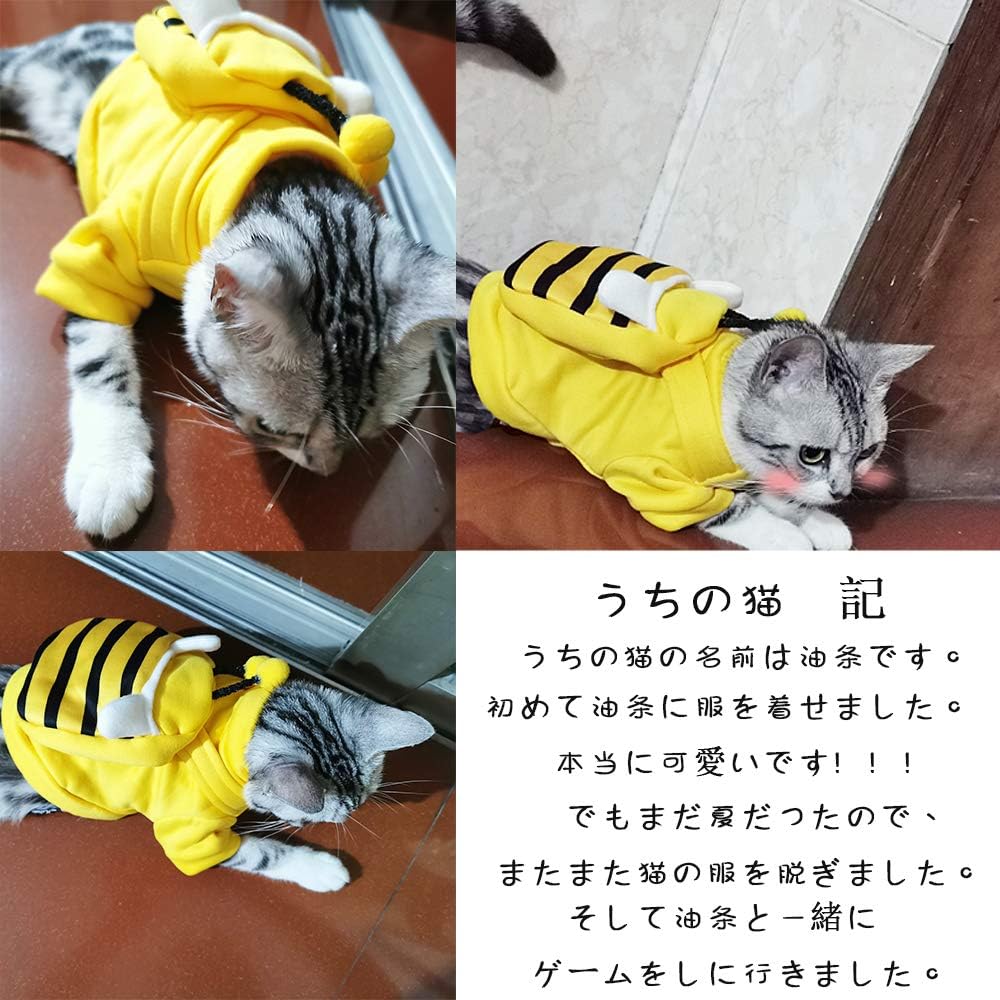 Amazon Timeterny 犬 服 犬猫兼用 Tシャツ 秋冬服 可愛い 柔らかい 人気 ファッション 小中型犬服 猫服 セーター ペット用品 暖かいパーカー 蜂のスタイル M Timeterny コート ジャケット 通販